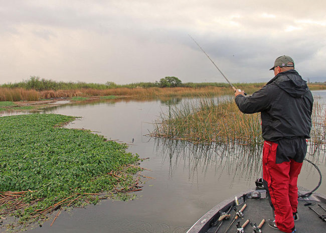 Heavily weighted punch baits are a key part of your arsenal when targeting bass in heavy cover. (Photo by David A. Brown)